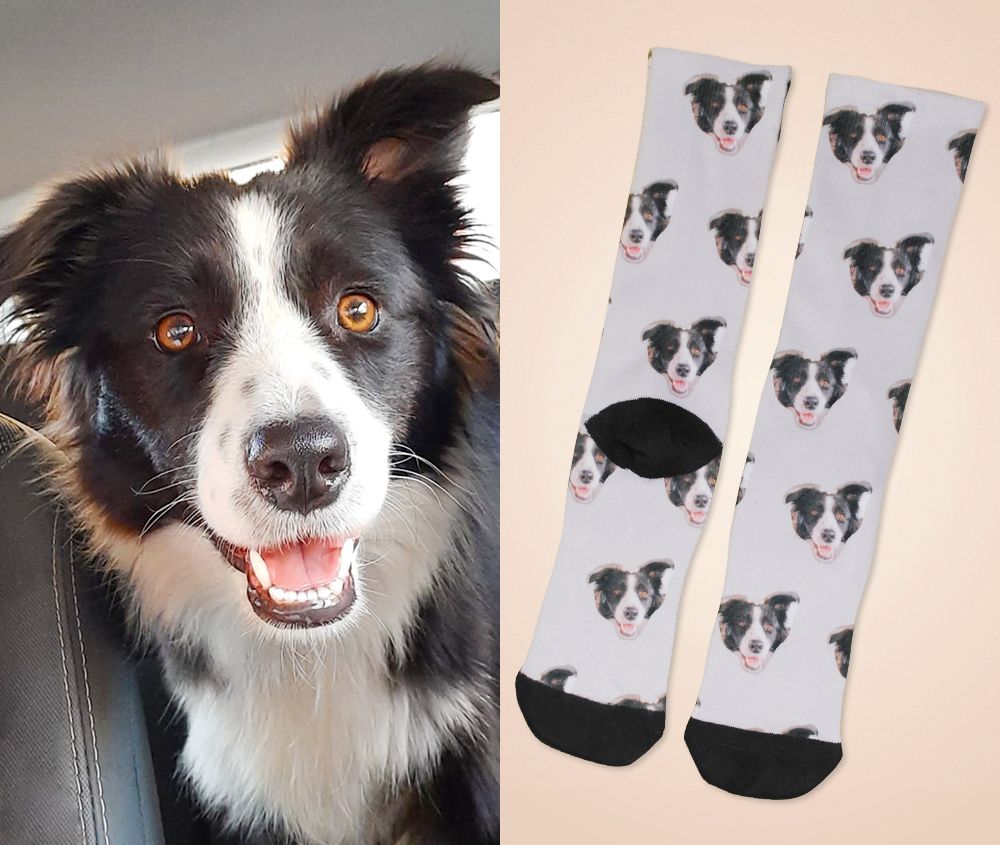 calzini personalizzati cane