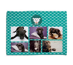 Coperta per cani Collage verde