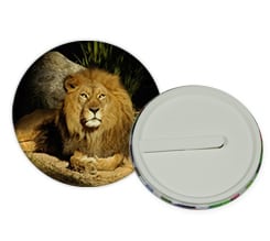 Spilla rotonda con clip