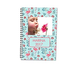 Agenda 8x13 Fenicotteri con fiori