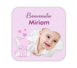 Calamita quadrata Elefantino rosa