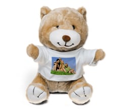 Peluche orso con foto