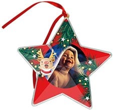 Stella natalizia Dolce renna