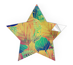 adesivo stella personalizzato