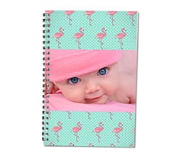 Agenda 14x21 Fenicotteri rosa