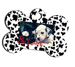 Medaglietta per Animali Dalmata