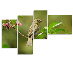 Composizione di quadro moderno formata da 4 pannelli tutti diversi