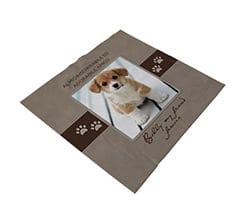 Pezzuola per occhiali Little animal