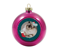 Pallina di natale in vetro personalizzata con foto e grafica gattini