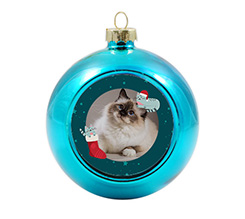 Pallina di natale in vetro personalizzata con gattini