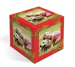 Foto cubo immagini Bacche natalizie