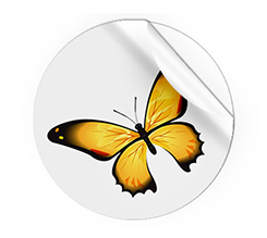 Adesivi Rotondi Grandi Butterfly