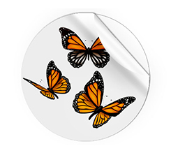 Adesivi Rotondi Grandi Farfalle