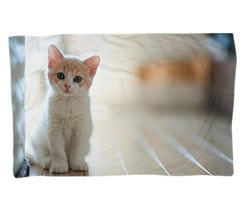 Coperta 150x100 Animali