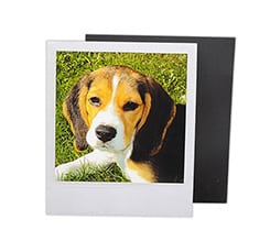 Polaroid Magnetiche Flessibili