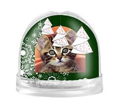 Palla di Neve Alberelli di Natale