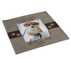 Centrotavola Little animal