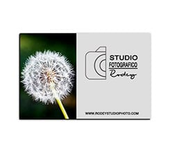 Biglietti da Visita Magnetici Professional grey