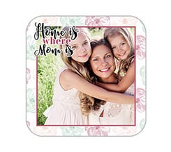 Calamita quadrata Texture bloom mum