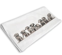 Asciugamani Doccia 71x138 cm