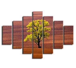 Quadri moderni music