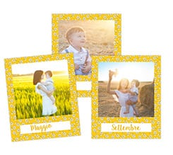 Polaroid Magnetiche Margherite