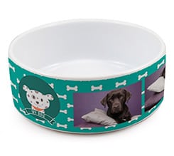 Ciotola per cani Collage verde