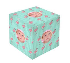 Foto cubo immagini Fenicotteri rosa