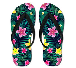 Infradito Tropical vegetation