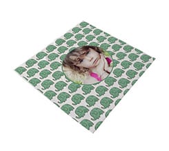 Pezzuola per occhiali Elefantini verdi