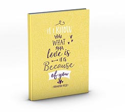 Diario Scolastico Because of you