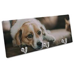 Appendiabiti su Tela 50x20 cm