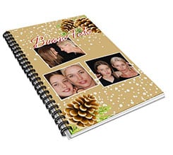 Agenda 8x13 Pigne natalizie