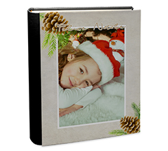 Album con pigne e ramoscelli natalizi