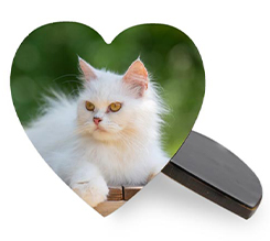 Calamita Cuore in Masonite