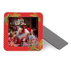 Calamita quadrata Bacche natalizie