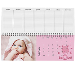 Calendari da scrivania giraffa rosa