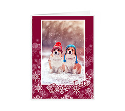 Biglietto pieghevole di auguri per Buone Feste con foto