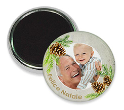 Il magnete da frigo con pigne e rami