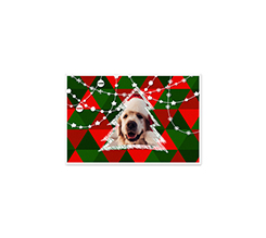 Biglietti auguri di buon natale con foto