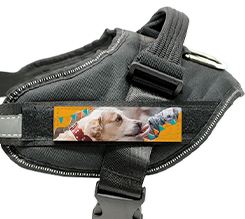 Pettorina cane taglia M grafica bandierine di compleanno