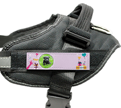 Pettorina cane taglia M buon compleanno