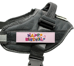 Pettorina cane taglia M grafica happy birthday