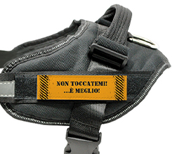 Pettorina cane taglia M grafica scritta non toccatemi