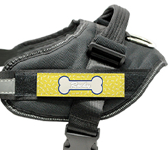 Pettorina cane taglia M grafica osso con sfondo giallo