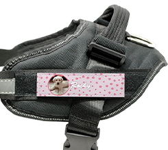 Pettorina cane taglia M grafica zampette e cuoricini con sfondo rosa