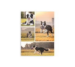 Poster-collage-30x40-verticale-4-riquadri