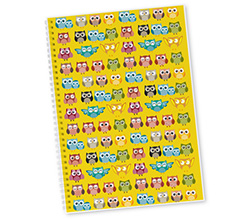 Quaderno A4 Gufetti colorati