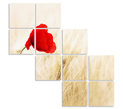 Composizione a scalini di pannelli quadrati