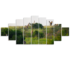 tela in pannelli con stampa panoramica